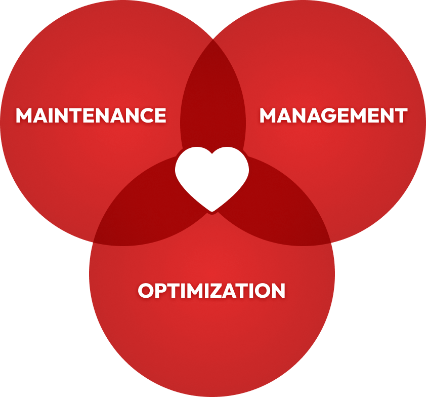 Chart of the services Awesome Cause offers: Maintenance, Management, and Optimization